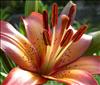 Jardin Botanico (1)